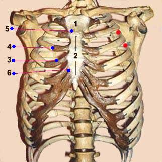  M�decines douces - Ost�opathie - 
